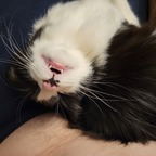jamsout Profile Picture