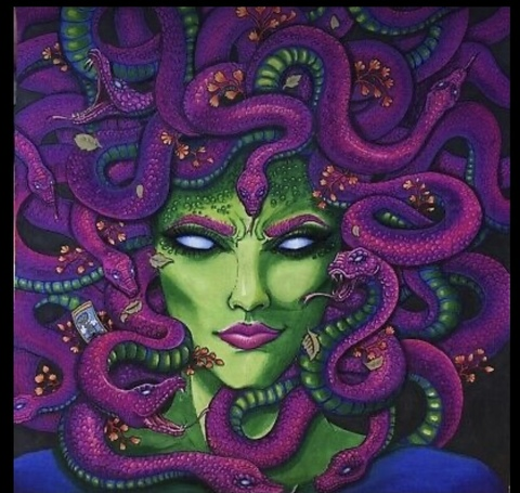 medusa_lives onlyfans leaked picture 1