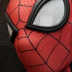 spidey-boi Profile Picture